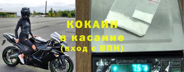 гидра Абаза