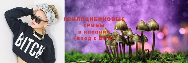 гидра Абаза