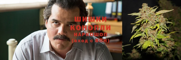 прущие грибы Алексин