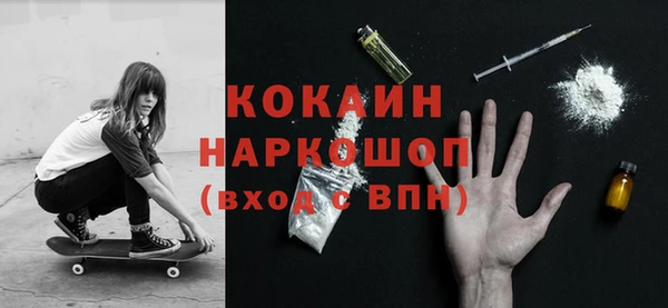 гидра Абаза