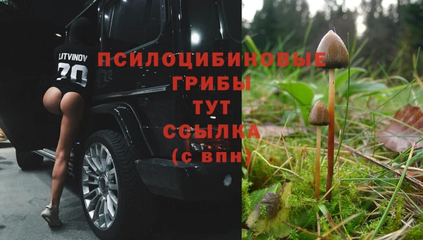 а пвп мука Абдулино