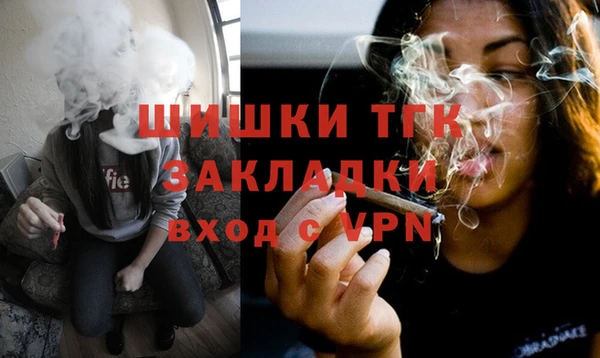 гидра Абаза