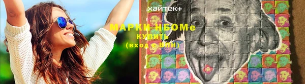 гидра Абаза